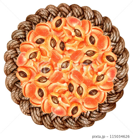 Round fruit composition of ripe orange pink apricots. Watercolor illustration with apricot crush color for harvest day template design, labels, kitchen textiles 115034626