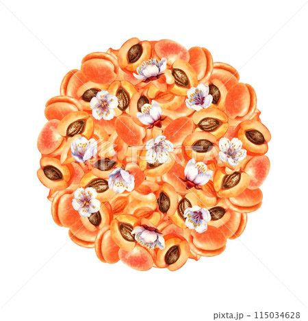 Round fruit composition of ripe orange pink apricots. Watercolor illustration with apricot crush color for harvest day template design, labels, kitchen textiles Round fruit composition of ripe orange pink apricots. Watercolor illustration with apricot crush color for harvest day template design, labels, kitchen textiles 115034628