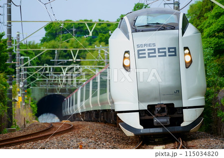 JR東日本 Narita Express N'EX 115034820