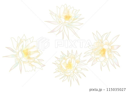 月下美人の花のカード2 115035027