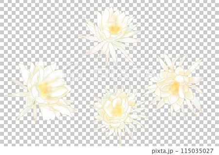 月下美人の花のカード2 115035027