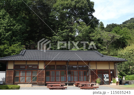 相模原　津久井湖城山公園 115035243