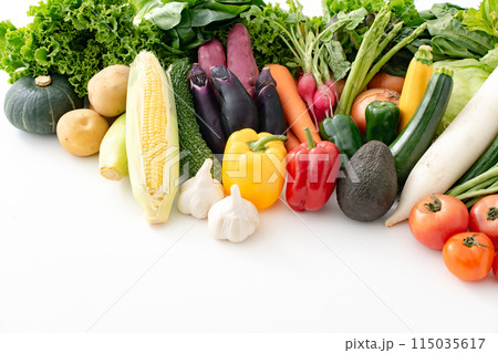 色々な野菜　集合 115035617