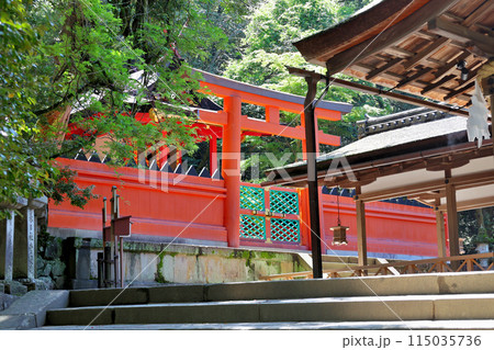 春日大社　若宮神社 115035736