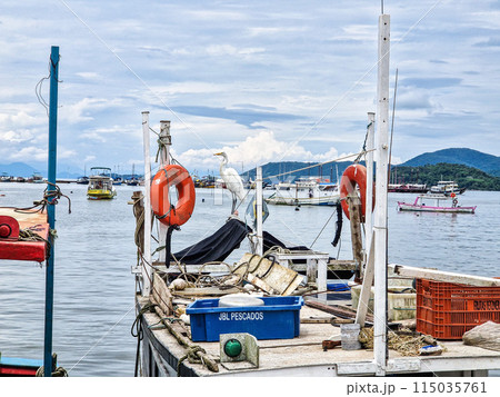 Paraty, Brazil - Jan 24, 2024 115035761