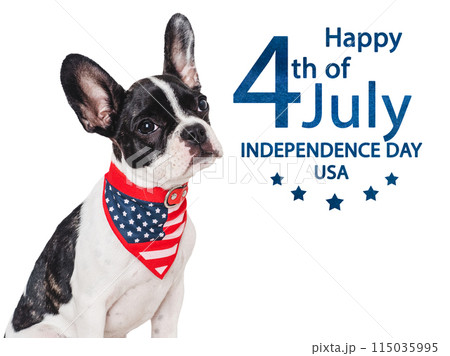 Happy Independence Day. American Flag and cute puppy 115035995