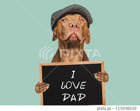 Cute dog, signboard and inscription I Love Dad Cute dog, signboard and inscription I Love Dad 115036010