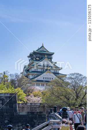 【桜】春の大阪城公園【大阪城天守閣】 【桜】春の大阪城公園【大阪城天守閣】 115036175