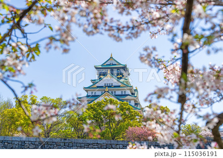 【桜】春の大阪城公園【大阪城天守閣】 【桜】春の大阪城公園【大阪城天守閣】 115036191