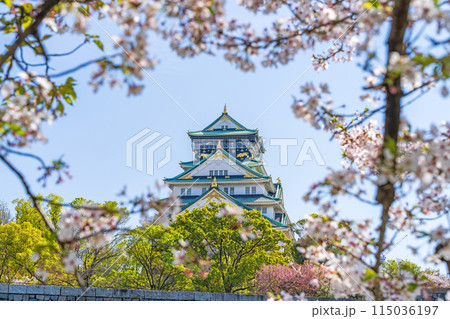 【桜】春の大阪城公園【大阪城天守閣】 115036197