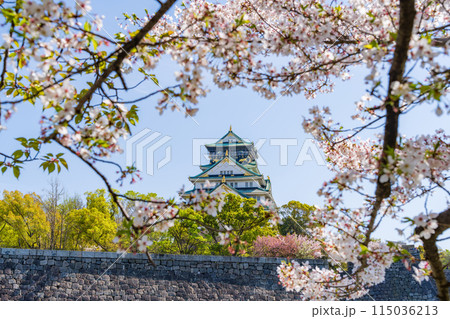 【桜】春の大阪城公園【大阪城天守閣】 【桜】春の大阪城公園【大阪城天守閣】 115036213