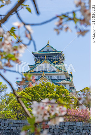 【桜】春の大阪城公園【大阪城天守閣】 【桜】春の大阪城公園【大阪城天守閣】 115036233