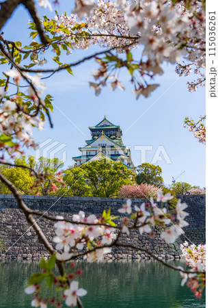 【桜】春の大阪城公園【大阪城天守閣】 115036261