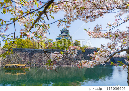 【春の大阪城公園】大阪城天守閣と御座船【桜】 【春の大阪城公園】大阪城天守閣と御座船【桜】 115036493