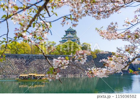 【春の大阪城公園】大阪城天守閣と御座船【桜】 115036502