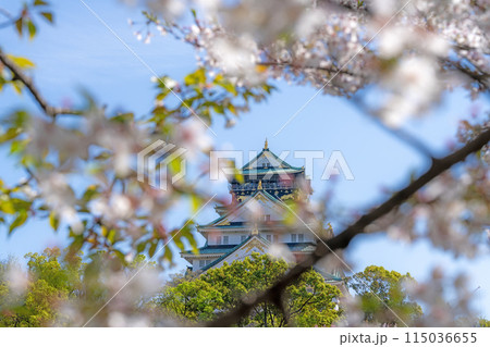 【春の大阪城公園】大阪城天守閣と桜 【春の大阪城公園】大阪城天守閣と桜 115036655