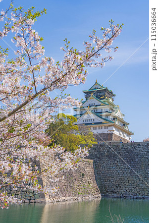 【春の大阪城公園】大阪城天守閣と桜 115036664