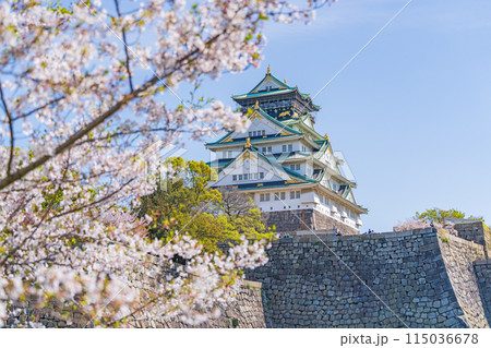 【春の大阪城公園】大阪城天守閣と桜 115036678
