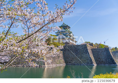 【春の大阪城公園】大阪城天守閣と桜 【春の大阪城公園】大阪城天守閣と桜 115036679