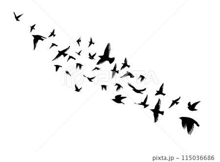 Flying birds silhouette flock. hand drawing. Not AI, Vector illustration 115036686