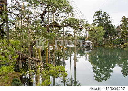 石川県の文化財指定庭園「兼六園」の風景 115036997