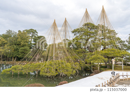 石川県の文化財指定庭園「兼六園」の風景 115037000