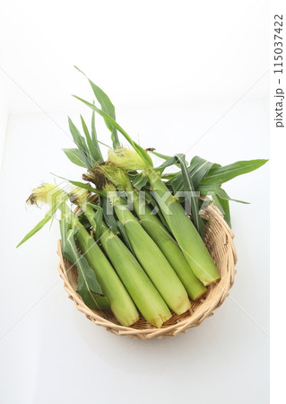 猿入りヤングコーン 猿入りヤングコーン 115037422