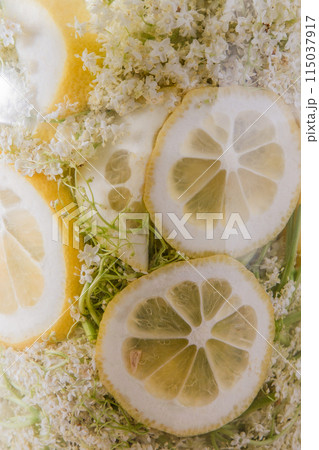 Elder flowers drink glass. White flower shrub. Harvesting buds for making syrup and drink. Cooking drinks. 115037917