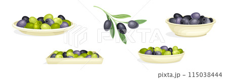 Olives with Branch and Pile in Bowl Vector Set Olives with Branch and Pile in Bowl Vector Set 115038444