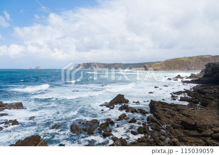 Verdicio beach view. Asturias coastline panorama, Spain 115039059