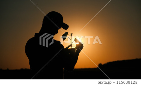 Back view: Silhouette of an agronomist holding in his hands a pot with a plant for planting Back view: Silhouette of an agronomist holding in his hands a pot with a plant for planting 115039128