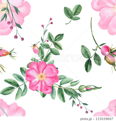 Dog rose Floral Watercolor seamless pattern. Hand drawn botanical illustration. Rose hip flowers, buds, branches and berries. Can be used for fabric, textile, packaging prints, wallpaper design. Dog rose Floral Watercolor seamless pattern. Hand drawn botanical illustration. Rose hip flowers, buds, branches and berries. Can be used for fabric, textile, packaging prints, wallpaper design. 115039607