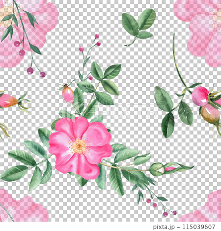 Dog rose Floral Watercolor seamless pattern. Hand drawn botanical illustration. Rose hip flowers, buds, branches and berries. Can be used for fabric, textile, packaging prints, wallpaper design. Dog rose Floral Watercolor seamless pattern. Hand drawn botanical illustration. Rose hip flowers, buds, branches and berries. Can be used for fabric, textile, packaging prints, wallpaper design. 115039607