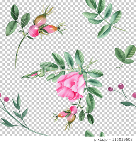 Dog rose Floral Watercolor seamless pattern. Hand drawn botanical illustration. Rose hip flowers, buds, branches and berries. Can be used for fabric, textile, packaging prints, wallpaper design. Dog rose Floral Watercolor seamless pattern. Hand drawn botanical illustration. Rose hip flowers, buds, branches and berries. Can be used for fabric, textile, packaging prints, wallpaper design. 115039608