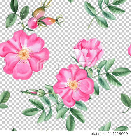 Dog rose Floral Watercolor seamless pattern. Hand drawn botanical illustration. Rose hip flowers, buds, branches and berries. Can be used for fabric, textile, packaging prints, wallpaper design. Dog rose Floral Watercolor seamless pattern. Hand drawn botanical illustration. Rose hip flowers, buds, branches and berries. Can be used for fabric, textile, packaging prints, wallpaper design. 115039609
