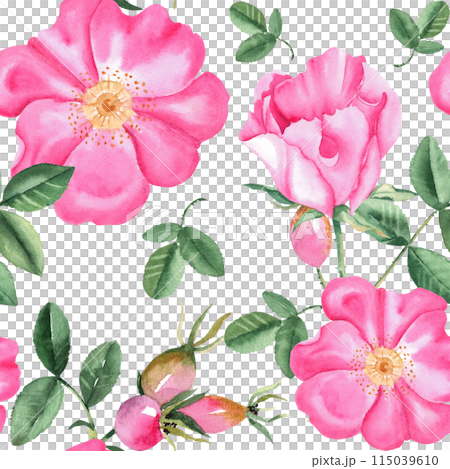 Dog rose Floral Watercolor seamless pattern. Hand drawn botanical illustration. Rose hip flowers, buds, branches and berries. Can be used for fabric, textile, packaging prints, wallpaper design. Dog rose Floral Watercolor seamless pattern. Hand drawn botanical illustration. Rose hip flowers, buds, branches and berries. Can be used for fabric, textile, packaging prints, wallpaper design. 115039610
