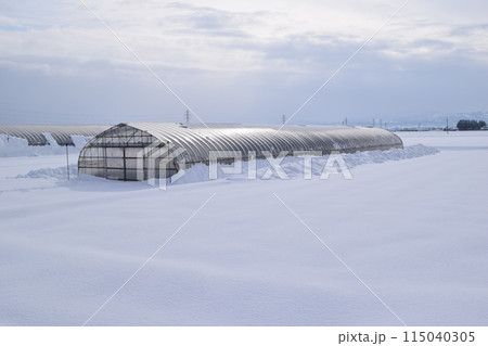 豪雪地方のビニールハウス 115040305