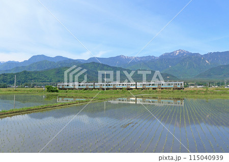 大糸線　5月の北アルプス山麓 115040939