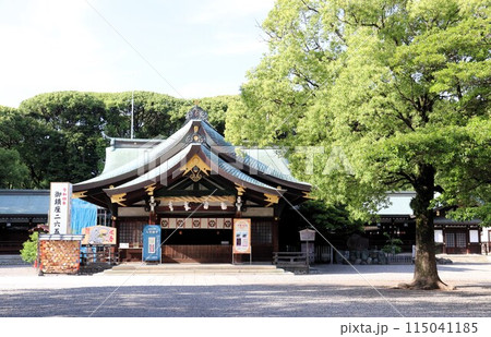 尾張一宮の真清田神社 拝殿 愛知県 一宮市 尾張一宮の真清田神社 拝殿 愛知県 一宮市 115041185