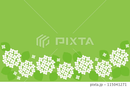 紫陽花 フレーム グリーン 紫陽花 フレーム グリーン 115041271