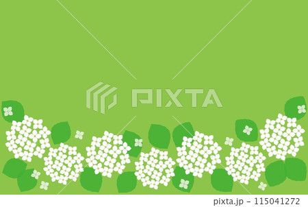 紫陽花 フレーム グリーン 紫陽花 フレーム グリーン 115041272