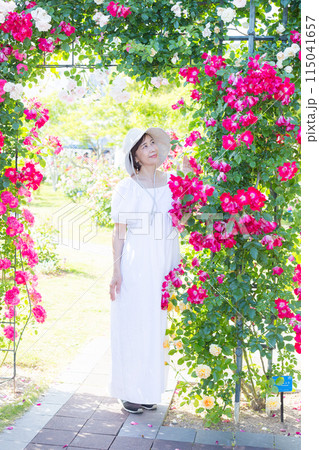 九州、長崎旅行、バラ園、バラを楽しむ女性旅 115041657