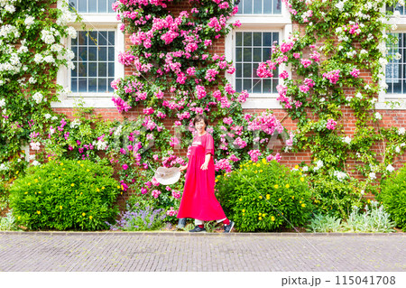 九州、長崎旅行、バラ園、バラを楽しむ女性旅 115041708