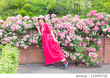 九州、長崎旅行、バラ園、バラを楽しむ女性旅 115041716