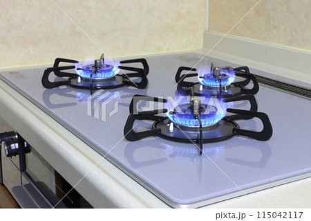 ガスレンジ（ガスコンロ） 115042117