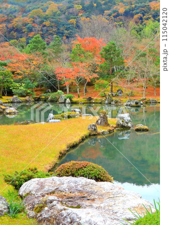 秋の天竜寺（京都市・縦構図） 115042120
