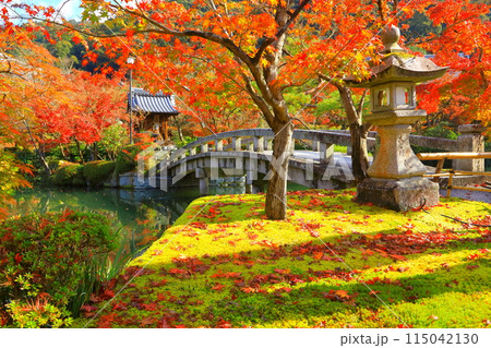 紅葉の永観堂（京都市） 115042130