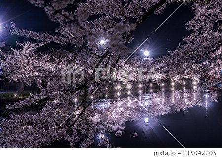 弘前さくら祭り 西濠の夜桜01 115042205
