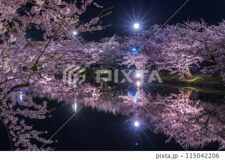 弘前さくら祭り 西濠の夜桜02 115042206