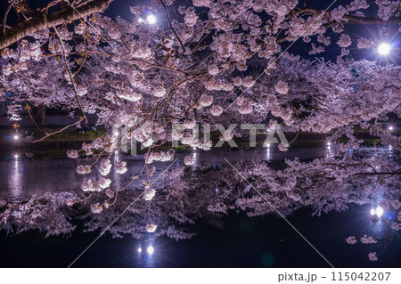 弘前さくら祭り 西濠の夜桜03 115042207